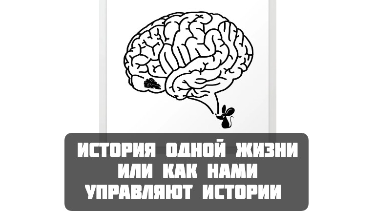 Как нами управляют истории